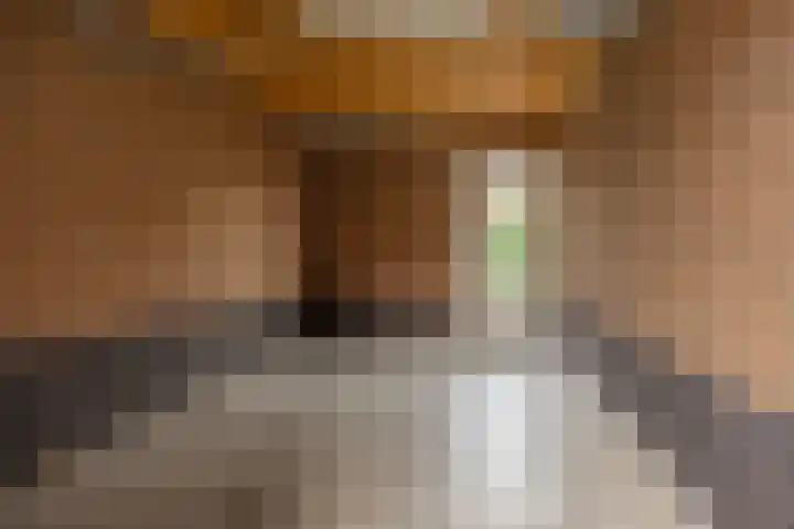 Melenhorst 22 Losser thumbnail 35