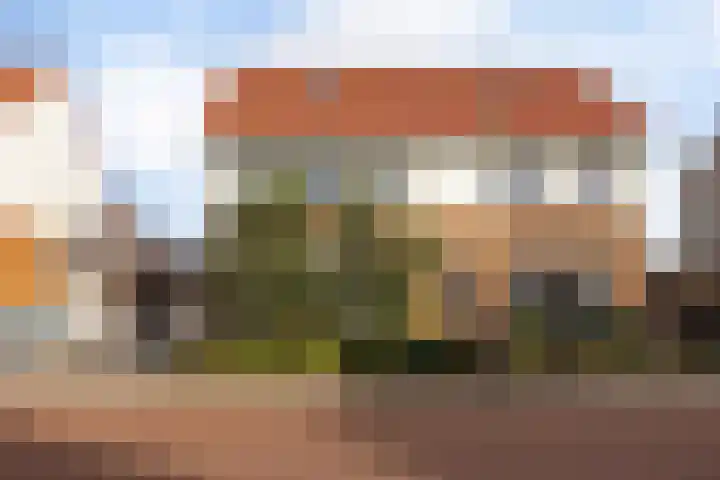 Melenhorst 22 Losser thumbnail 36