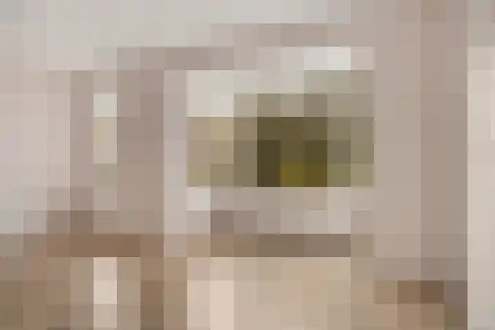 Melenhorst 22 Losser thumbnail 4