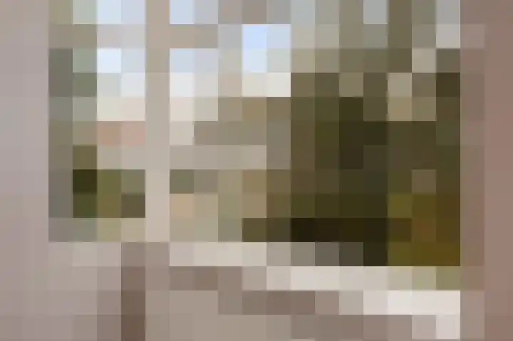 Melenhorst 22 Losser thumbnail 5