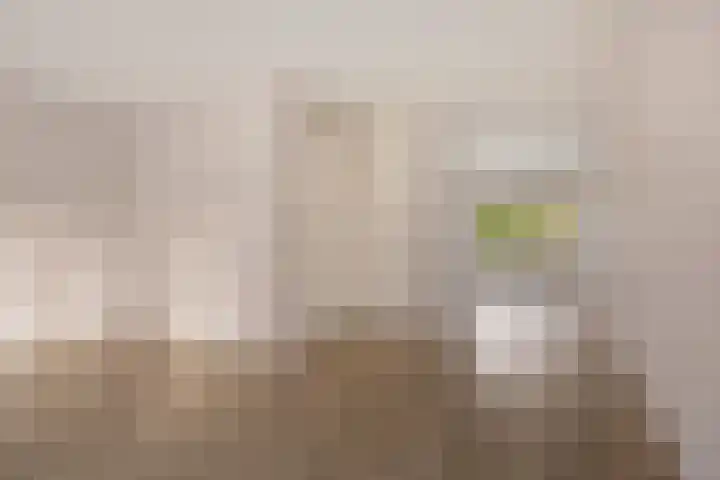 Melenhorst 22 Losser thumbnail 6