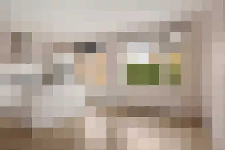 Melenhorst 22 Losser thumbnail 7