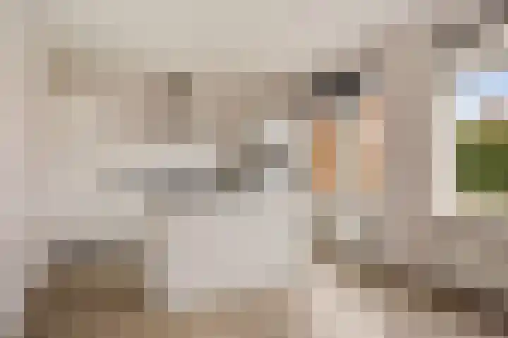 Melenhorst 22 Losser thumbnail 8