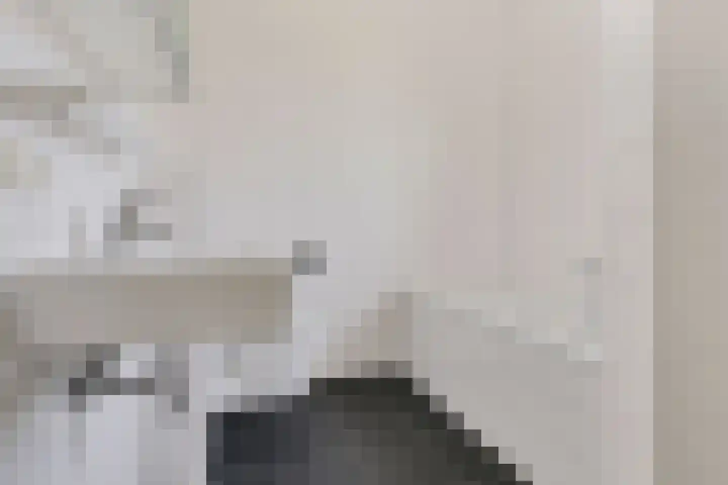 Melenhorst 24 Losser thumbnail 22