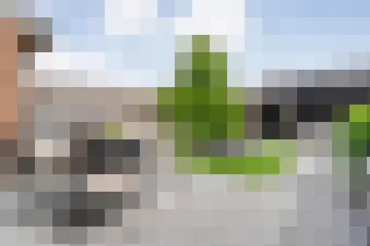 Melenhorststraat 19 Zwolle thumbnail 35