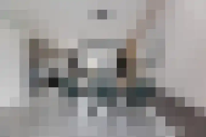 Melenhorststraat 23 Zwolle thumbnail 13