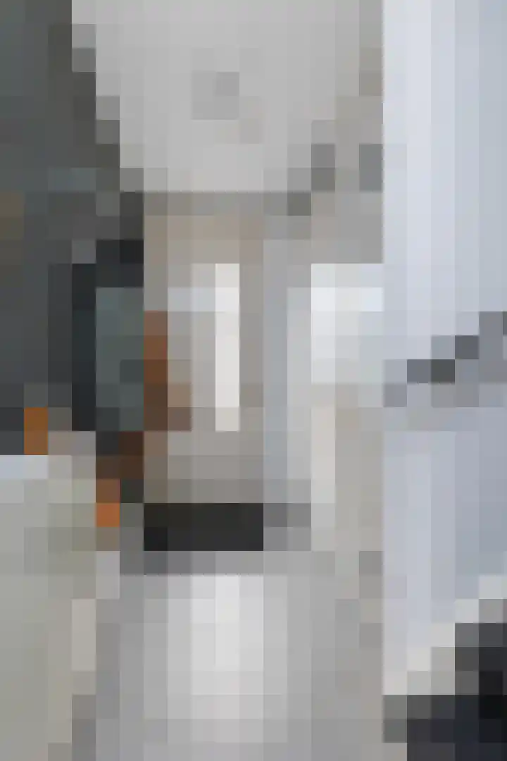 Melenhorststraat 23 Zwolle thumbnail 7