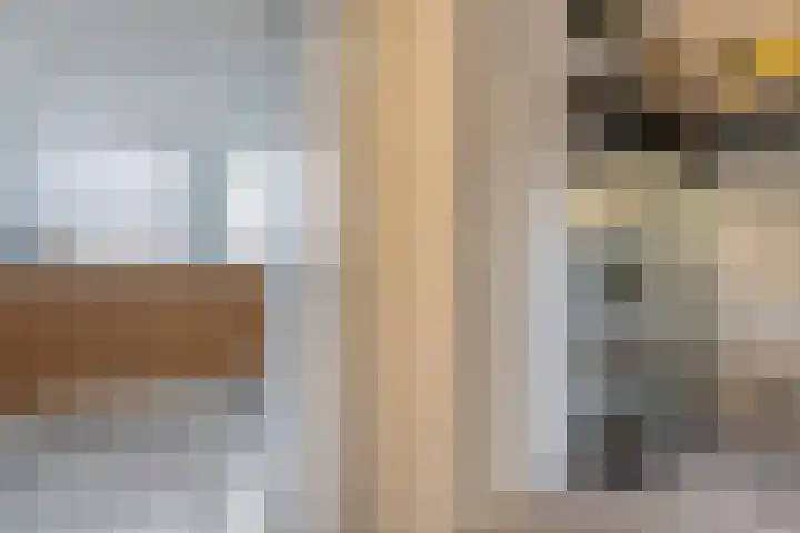 Melenhorststraat 37 Zwolle thumbnail 34