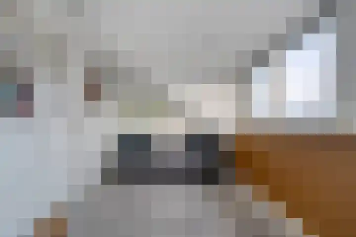 Melenhorststraat 37 Zwolle thumbnail 36