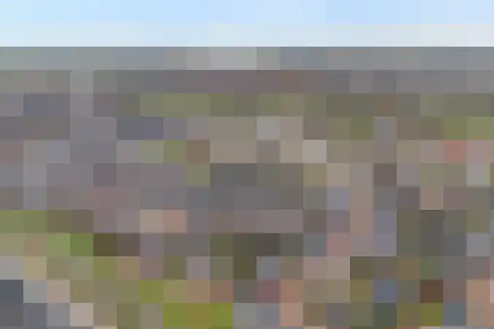Melenhorststraat 37 Zwolle thumbnail 5