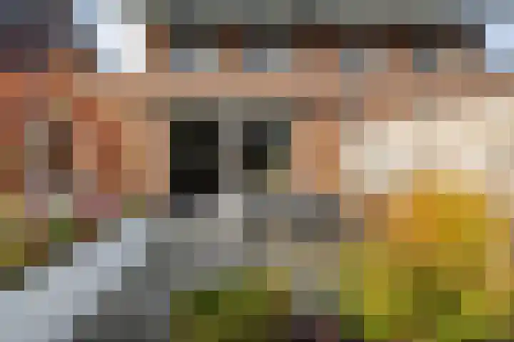 Melenhorststraat 7 Zwolle thumbnail 31