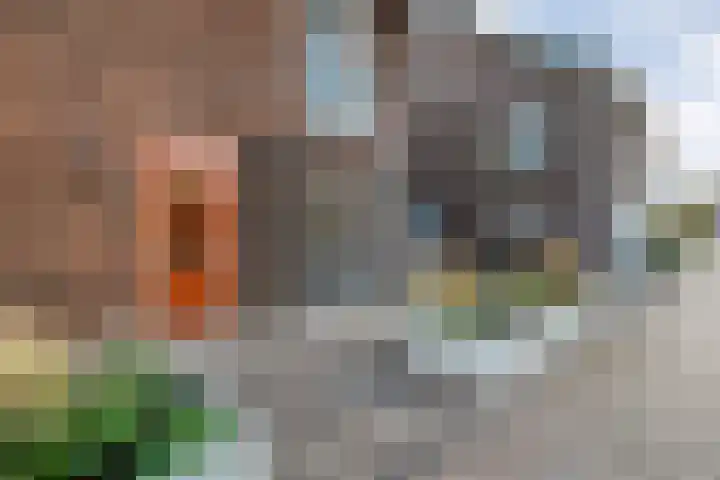 Melenhorststraat 7 Zwolle thumbnail 4