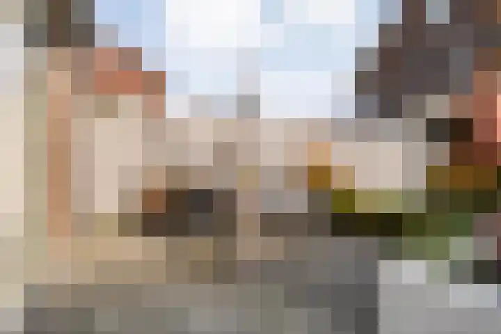 Melenhorststraat 7 Zwolle thumbnail 34