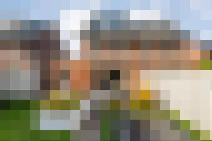 Melenhorststraat 7 Zwolle thumbnail 36