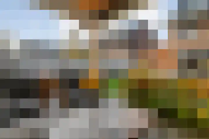 Melenhorststraat 7 Zwolle thumbnail 42