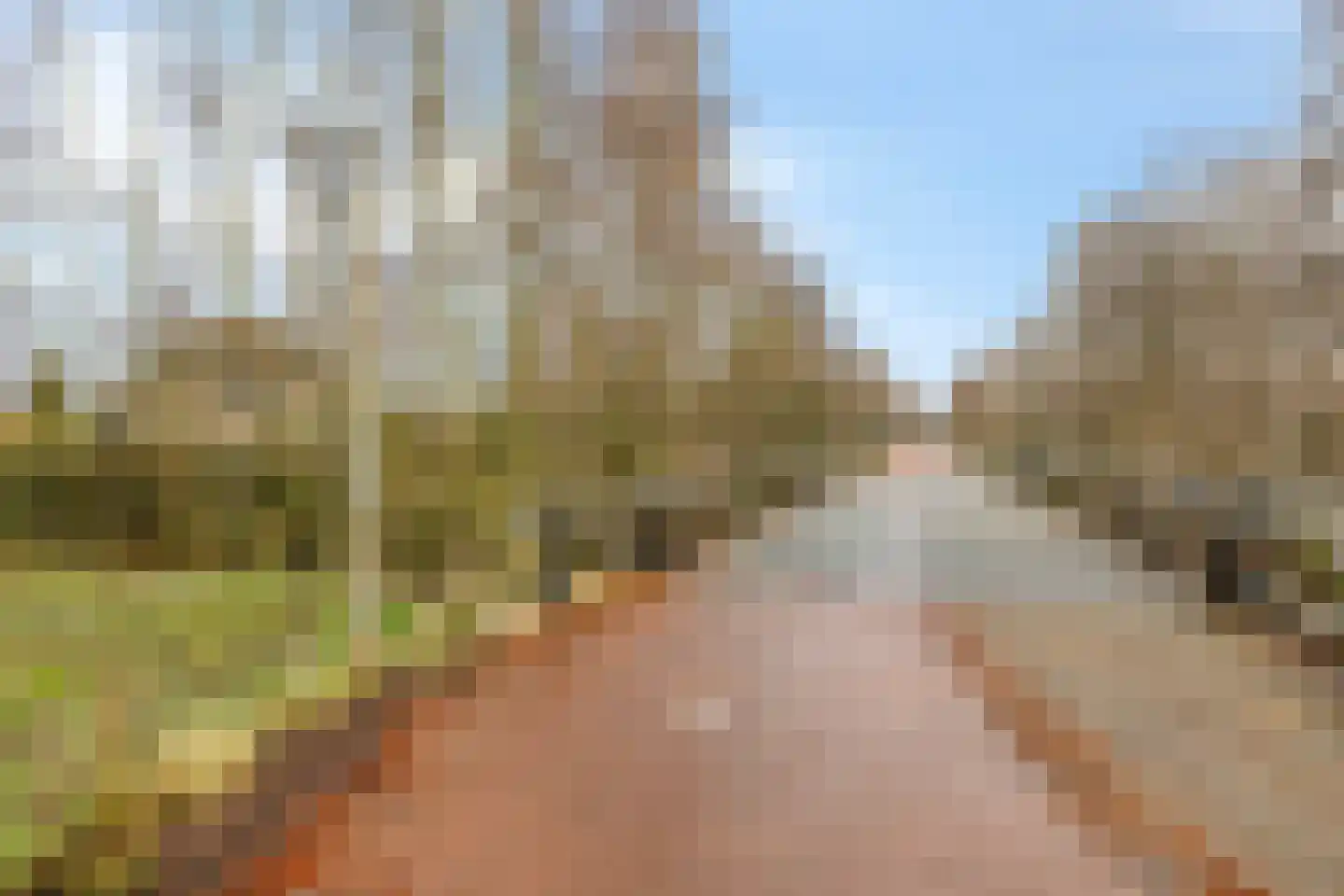 Melickstraat 69 Tilburg thumbnail 62