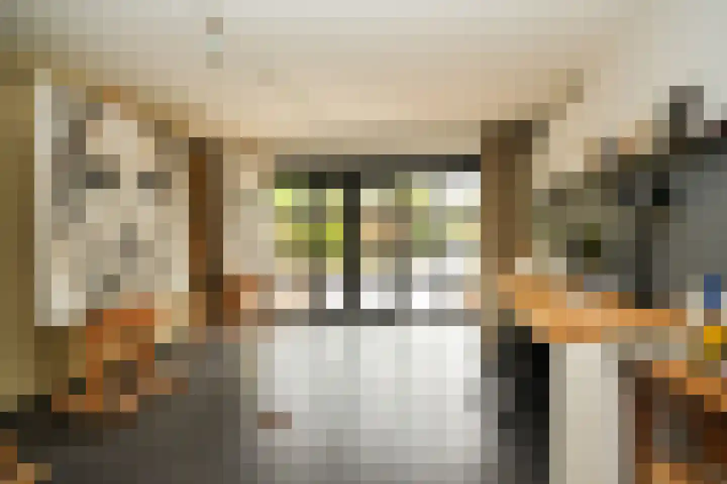 Meliepark 18 Vlijmen thumbnail 14