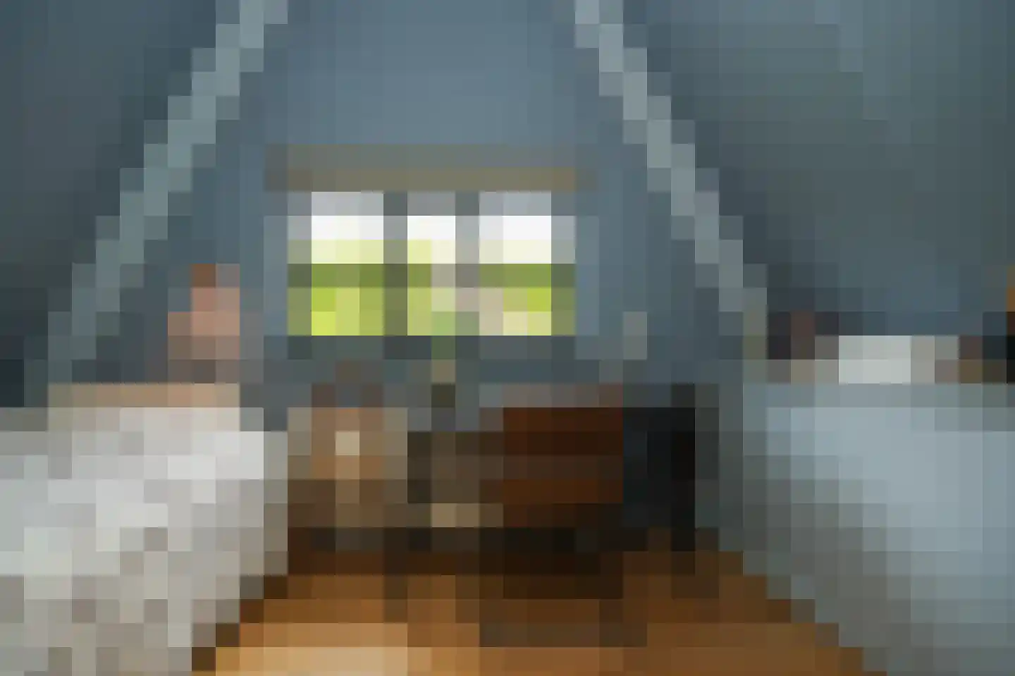 Meliepark 18 Vlijmen thumbnail 34