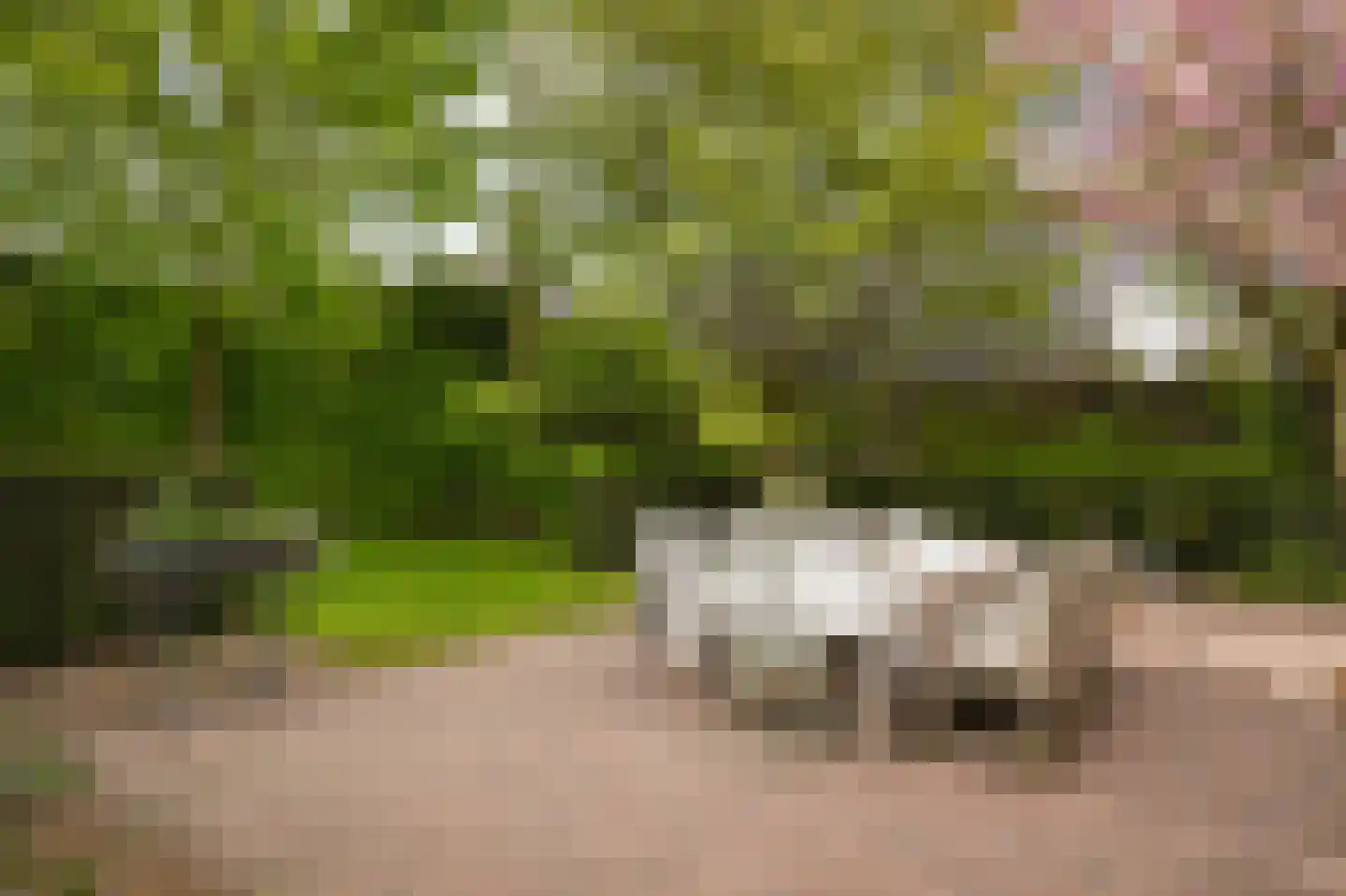 Meliepark 18 Vlijmen thumbnail 39