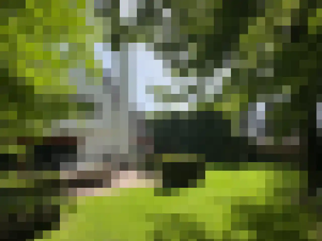 Meliepark 18 Vlijmen thumbnail 40