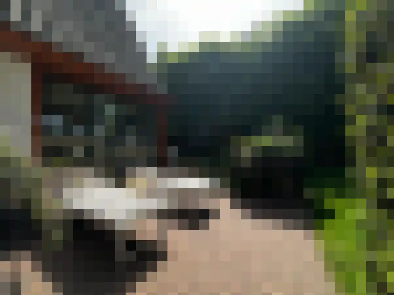 Meliepark 18 Vlijmen thumbnail 41