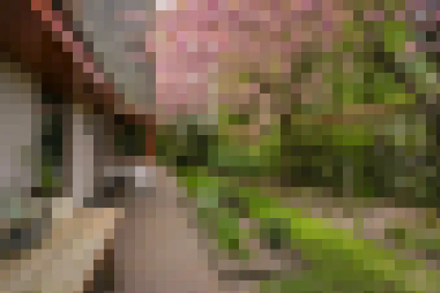 Meliepark 18 Vlijmen thumbnail 43