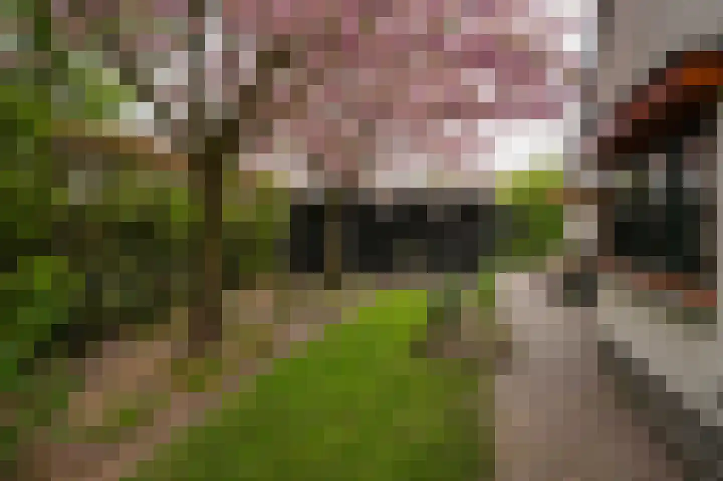 Meliepark 18 Vlijmen thumbnail 44