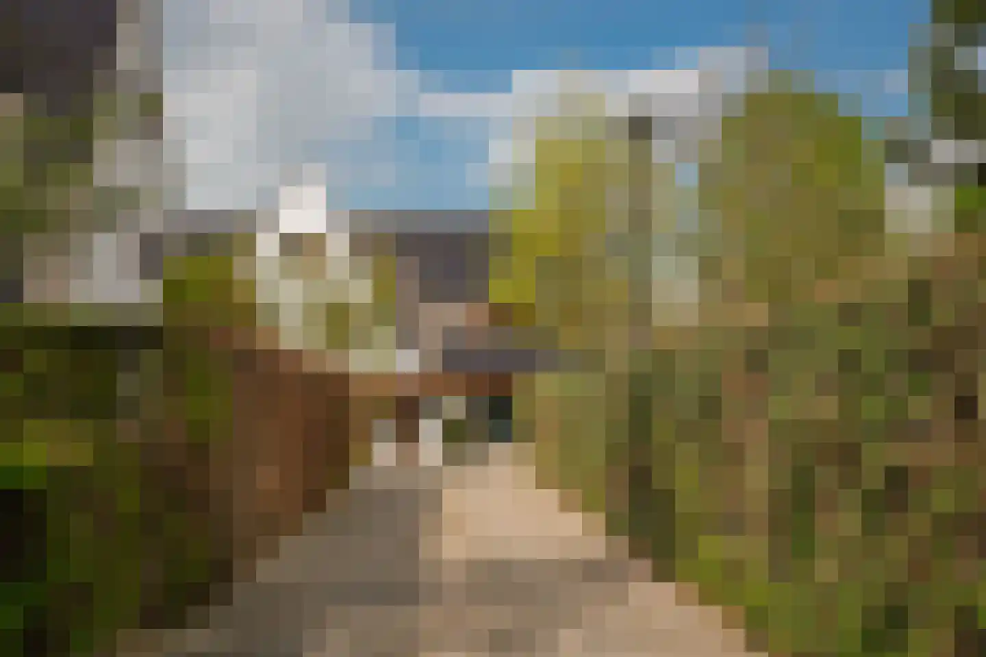 Meliepark 18 Vlijmen thumbnail 47