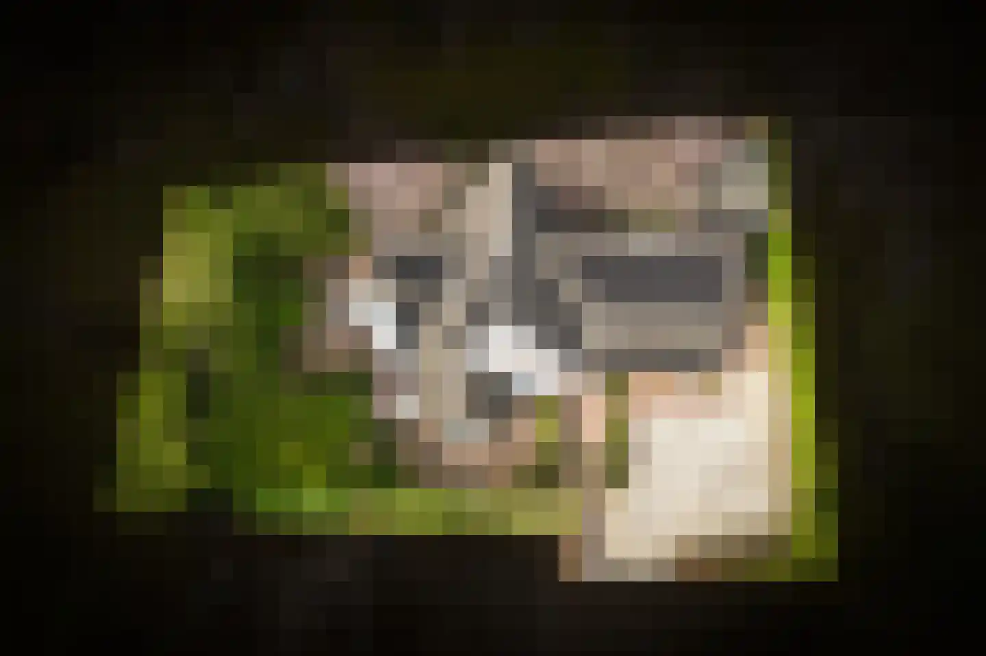 Meliepark 18 Vlijmen thumbnail 48