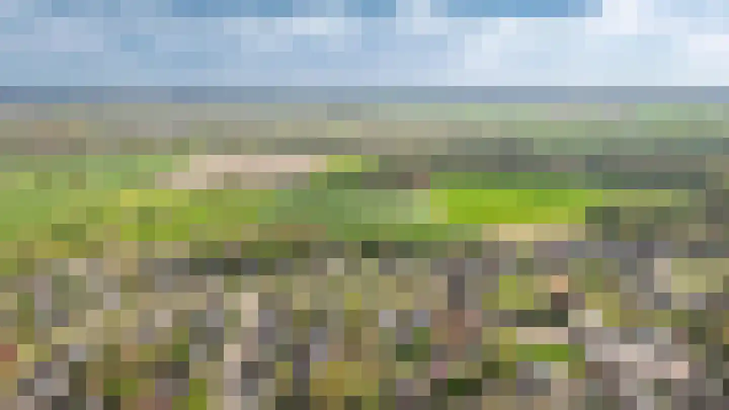 Meliepark 18 Vlijmen thumbnail 50