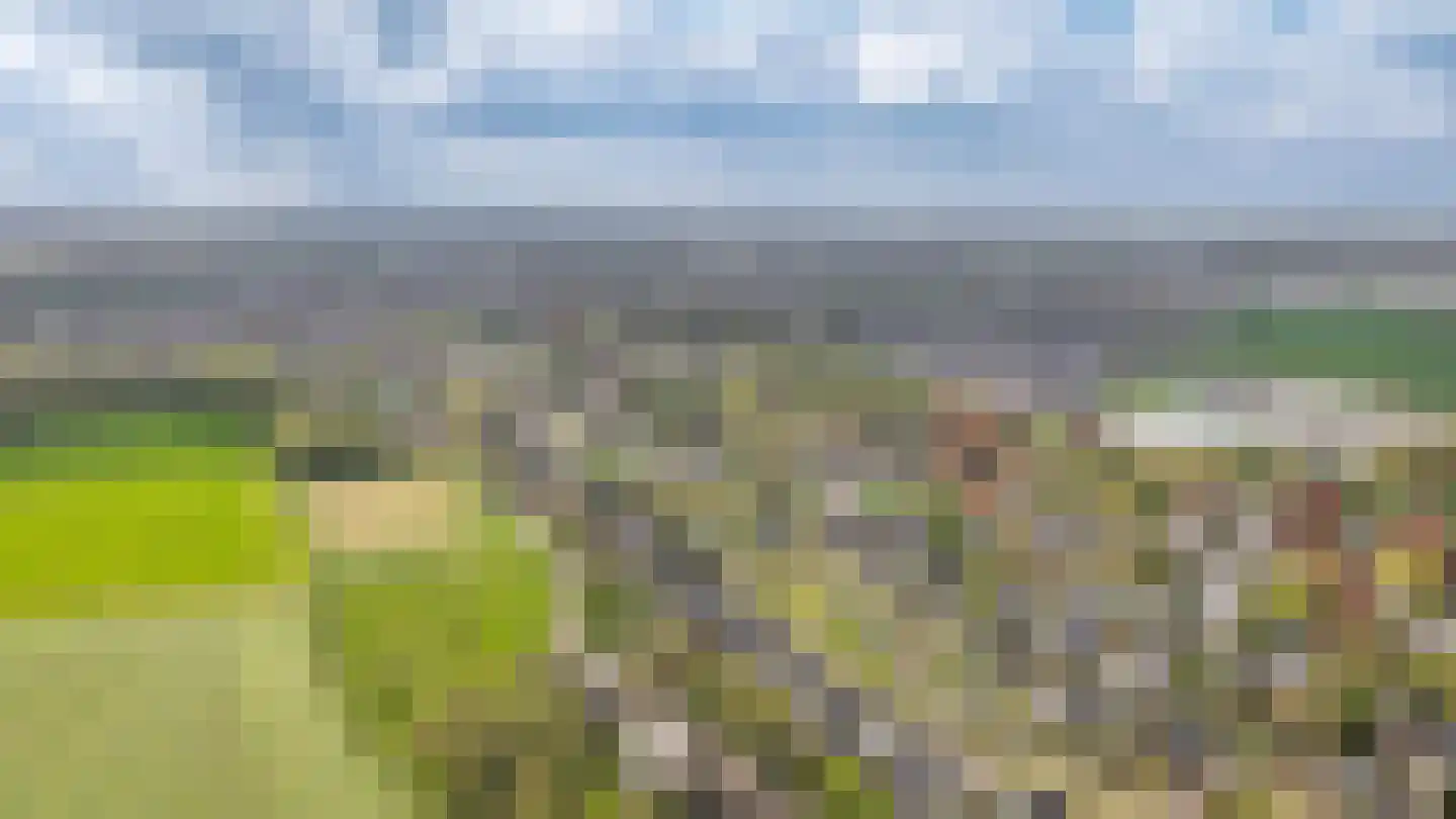 Meliepark 18 Vlijmen thumbnail 51