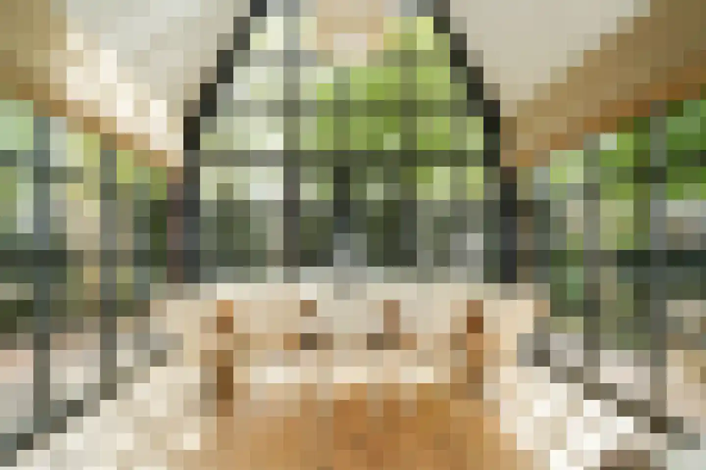 Meliepark 18 Vlijmen thumbnail 7