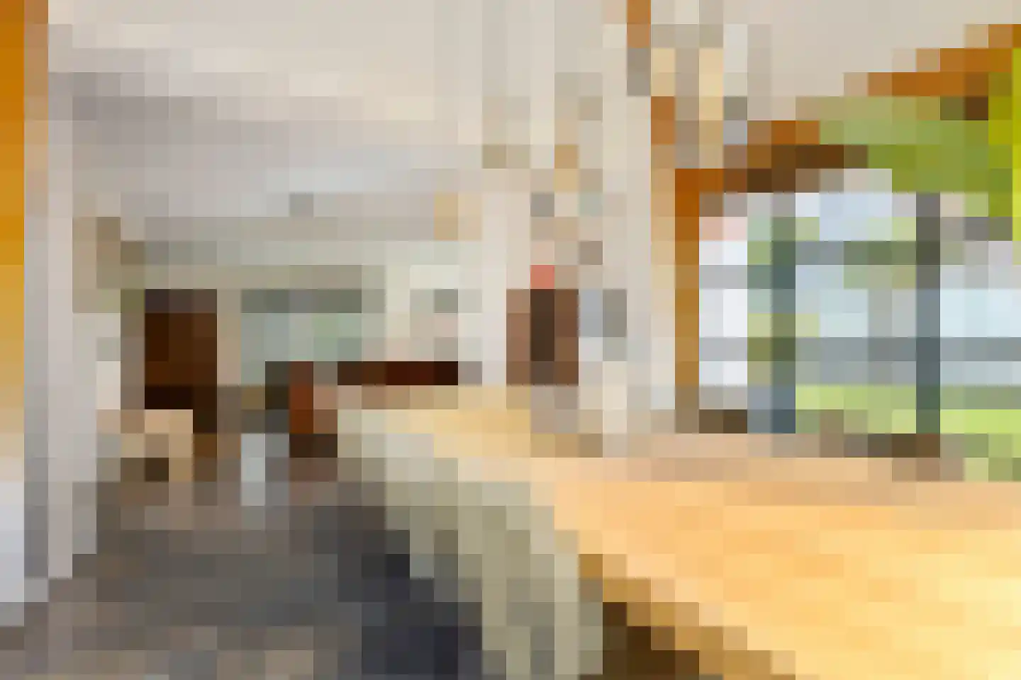 Meliepark 20 Vlijmen thumbnail 20