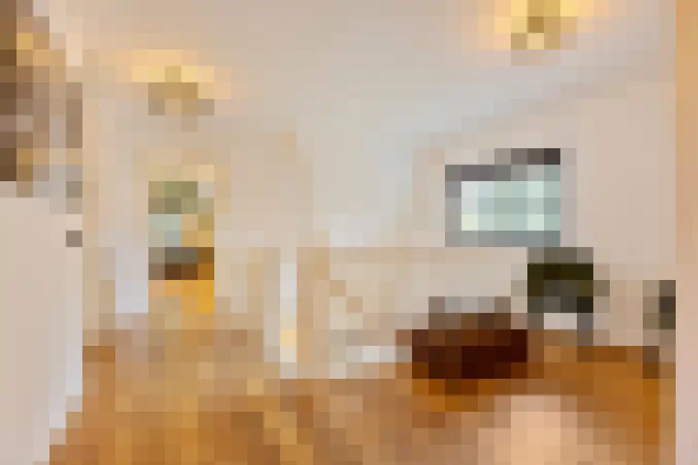 Meliepark 20 Vlijmen thumbnail 29