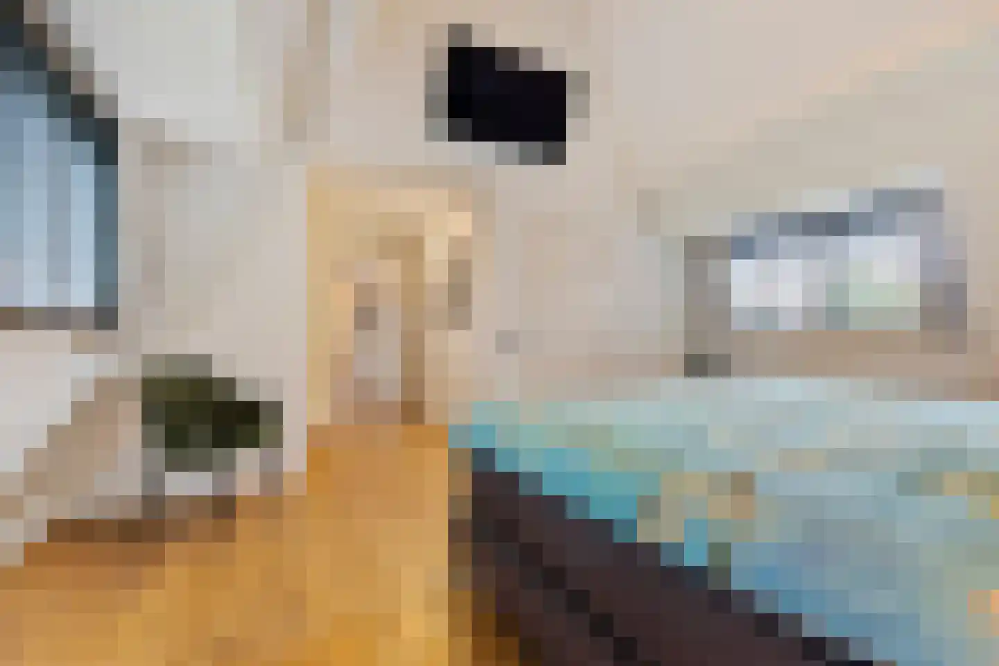 Meliepark 20 Vlijmen thumbnail 31