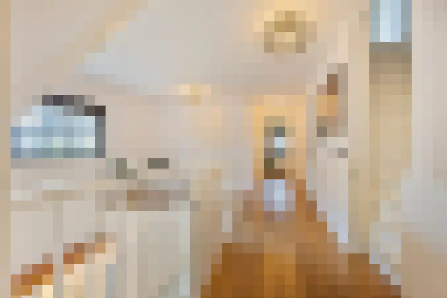 Meliepark 20 Vlijmen thumbnail 38