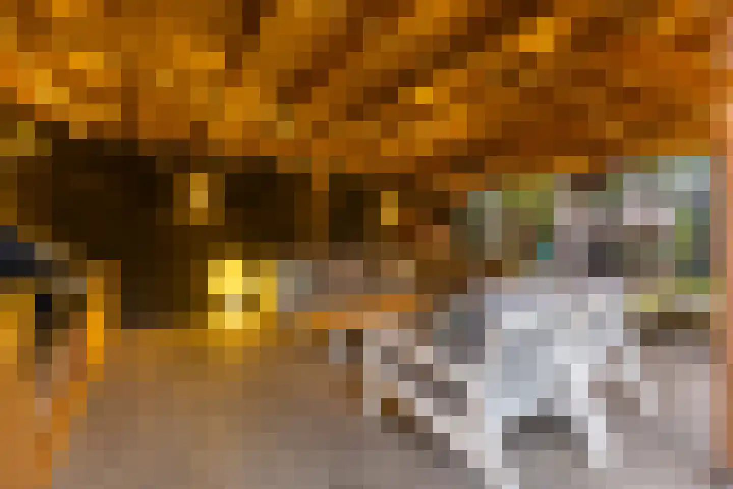 Meliepark 20 Vlijmen thumbnail 46