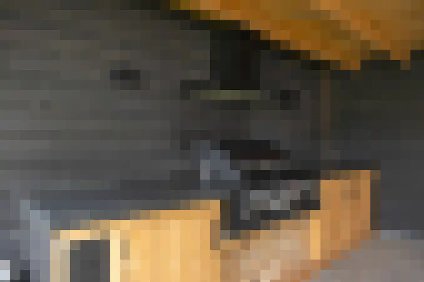 Meliepark 20 Vlijmen thumbnail 51