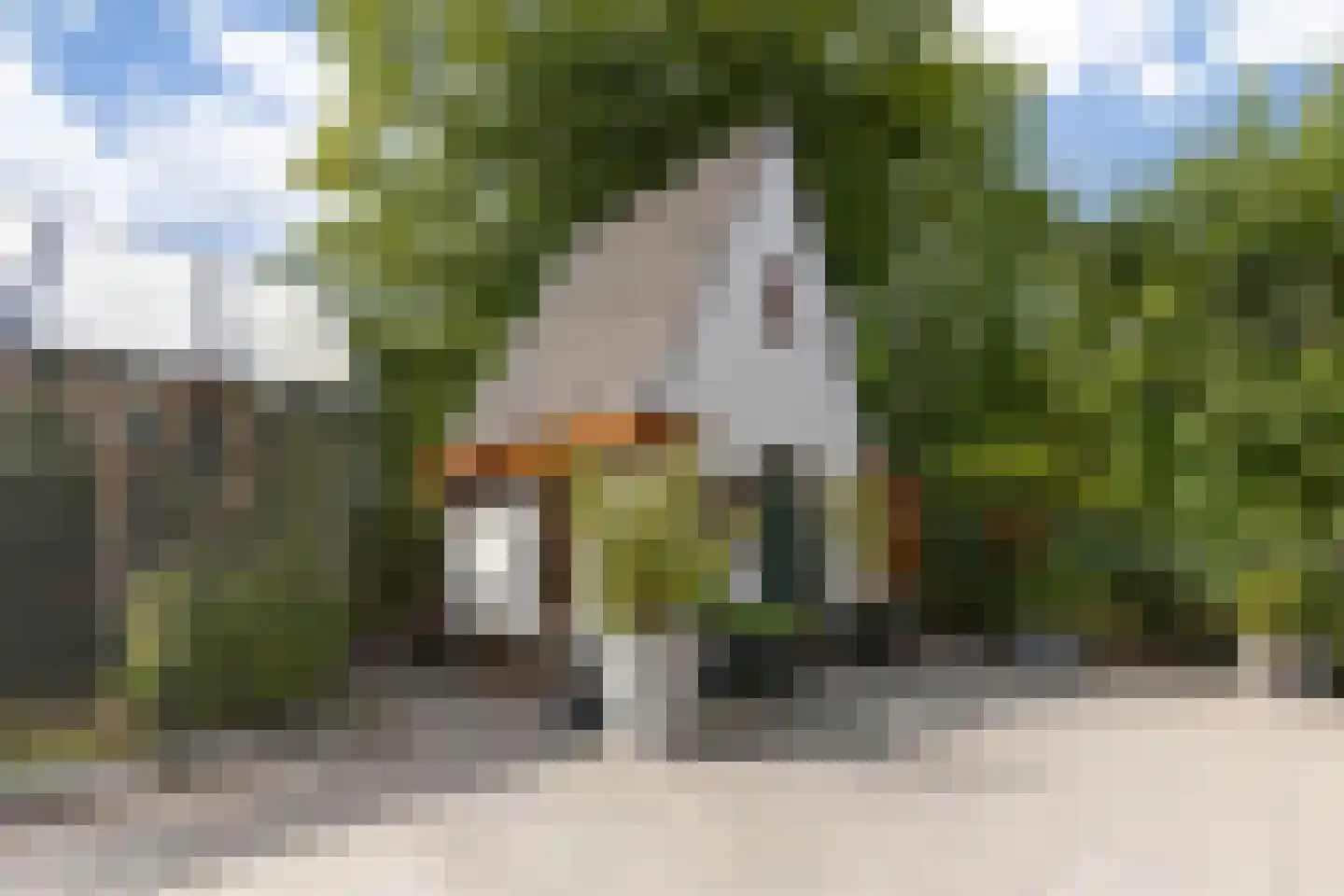 Meliepark 20 Vlijmen thumbnail 56