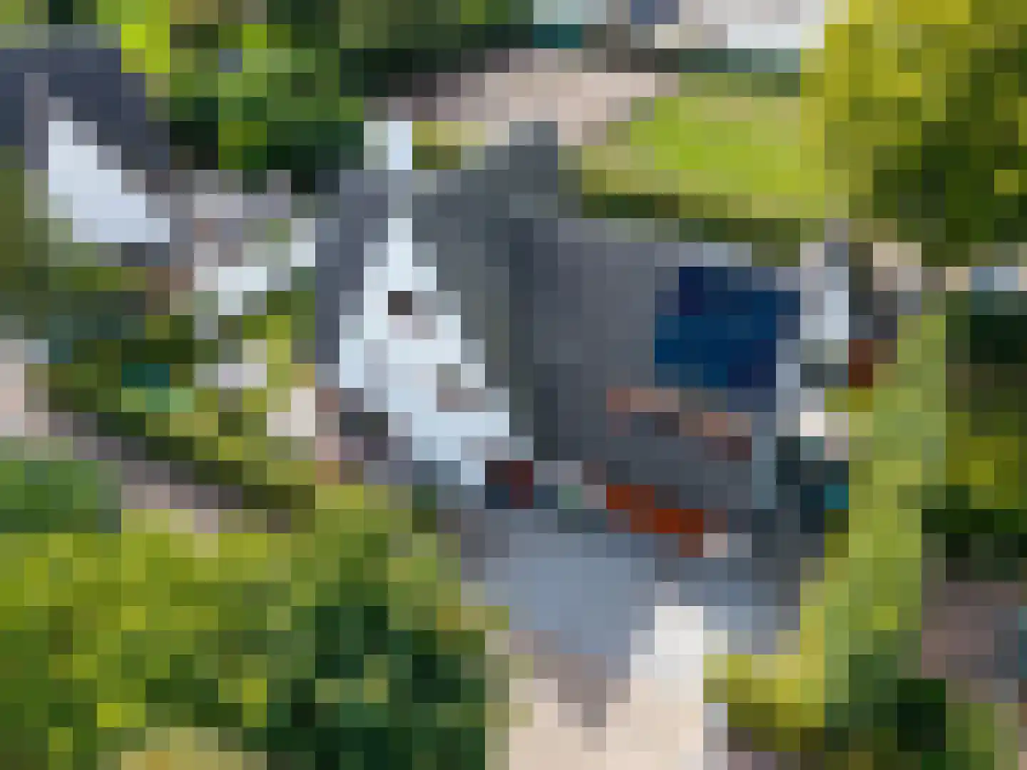 Meliepark 20 Vlijmen thumbnail 62