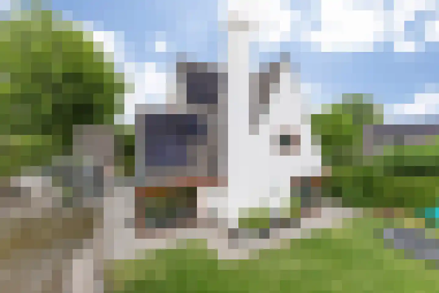 Meliepark 20 Vlijmen thumbnail 64