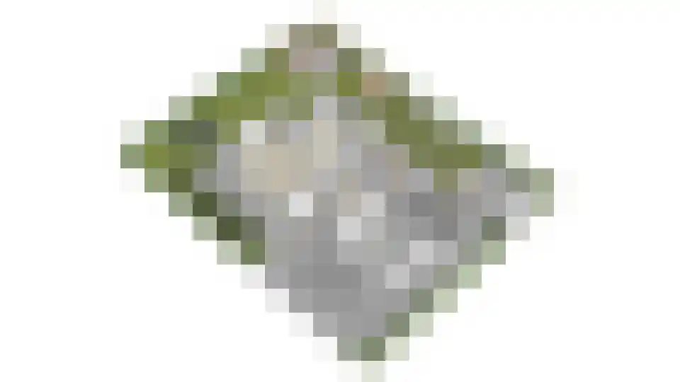 Meliepark 20 Vlijmen thumbnail 67