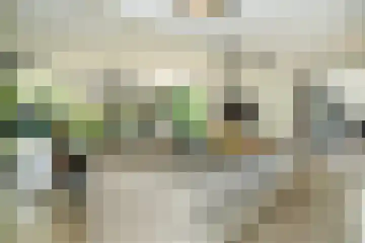 Meliestraat 42 Vlijmen thumbnail 11