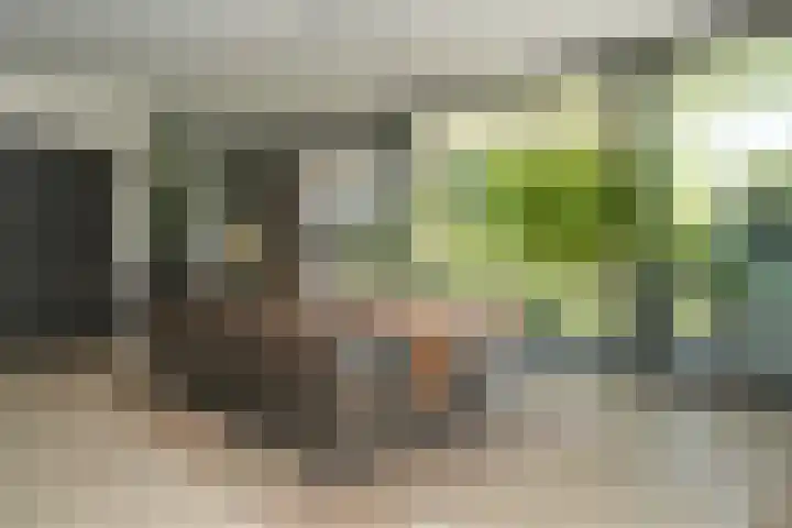 Meliestraat 42 Vlijmen thumbnail 12