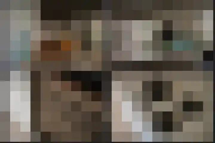 Meliestraat 42 Vlijmen thumbnail 13