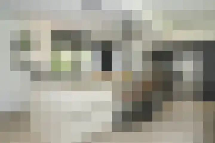 Meliestraat 42 Vlijmen thumbnail 14
