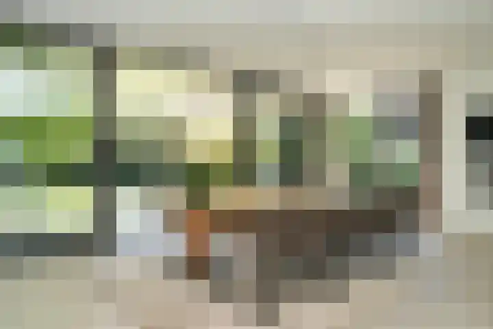 Meliestraat 42 Vlijmen thumbnail 15