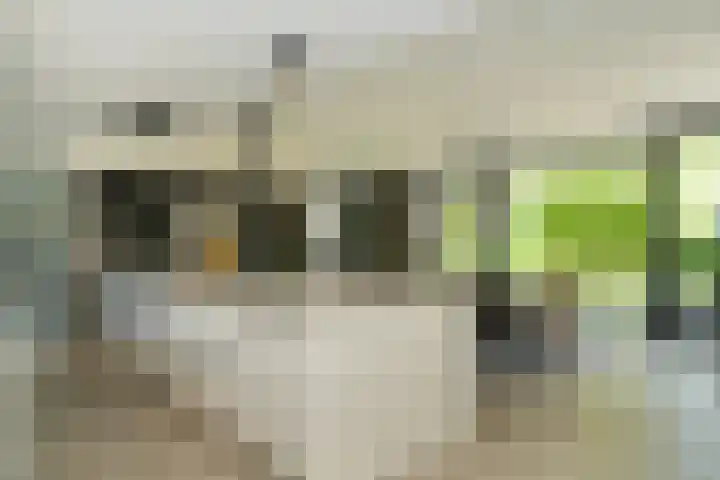 Meliestraat 42 Vlijmen thumbnail 16