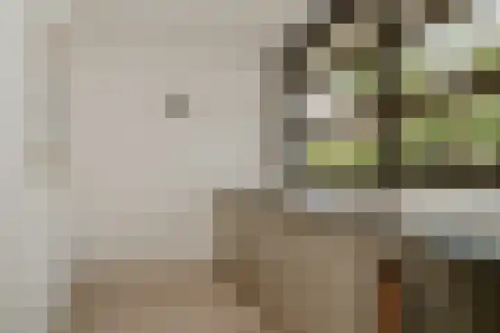 Meliestraat 42 Vlijmen thumbnail 17