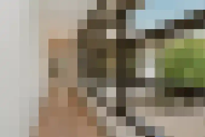 Meliestraat 42 Vlijmen thumbnail 22